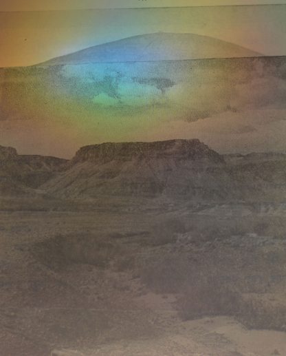 עינת אמיר | Einat Amir